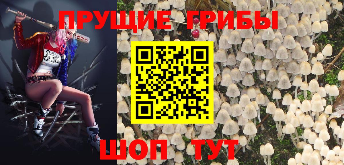 Галлюциногенные грибы GOLDEN TEACHER Севастополь
